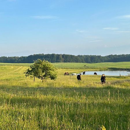 Projekt Stajnia - Nadmorski Osrodek Jazdy Konnej - Noclegi Łazy Esterno foto