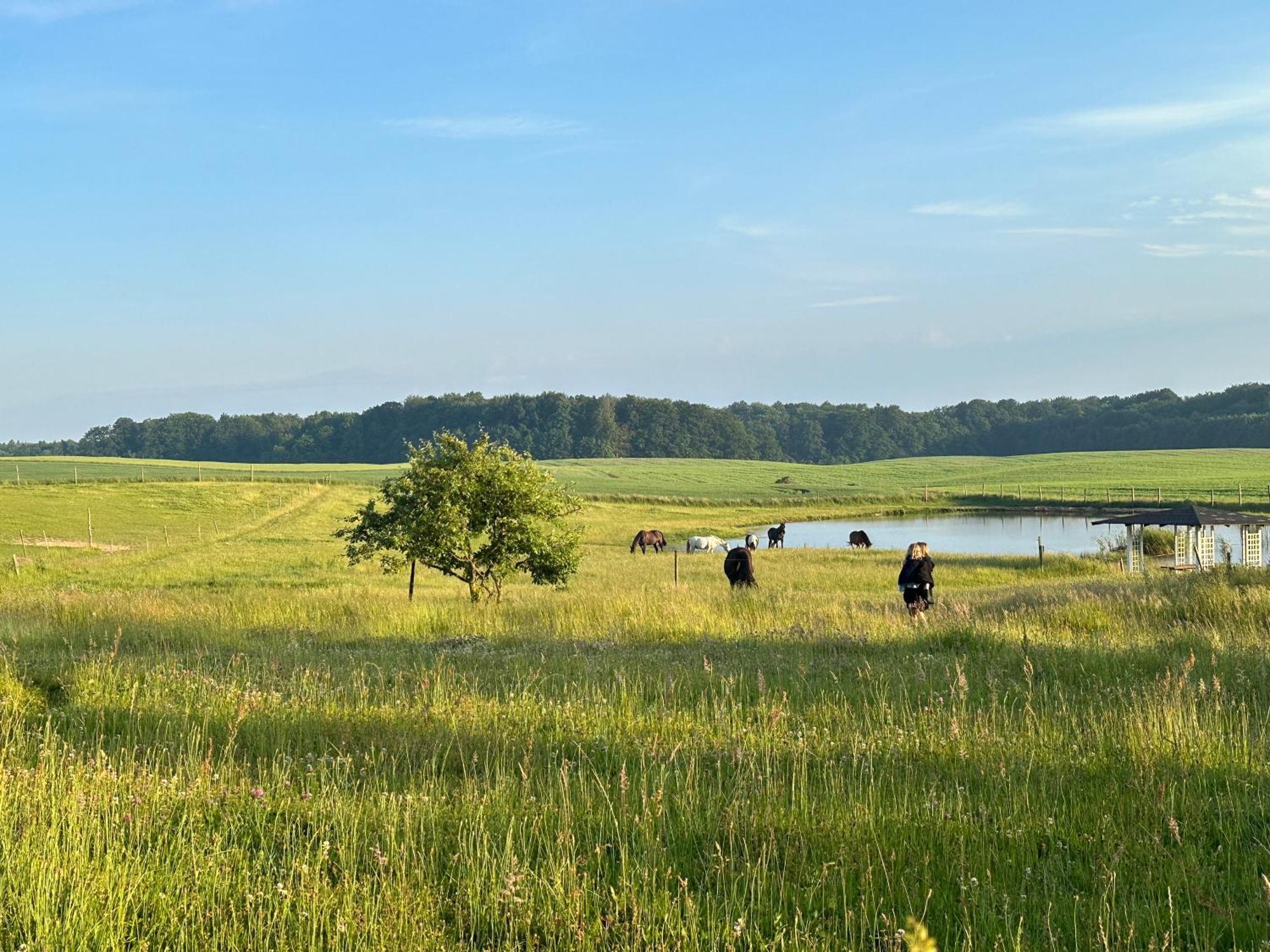 Projekt Stajnia - Nadmorski Osrodek Jazdy Konnej - Noclegi Łazy Esterno foto